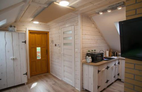 Apartamenty Osowa nad jeziorem Okmin - Foto 32