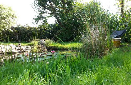 Ferienwohnungen Luge - Winterberg - Foto 55