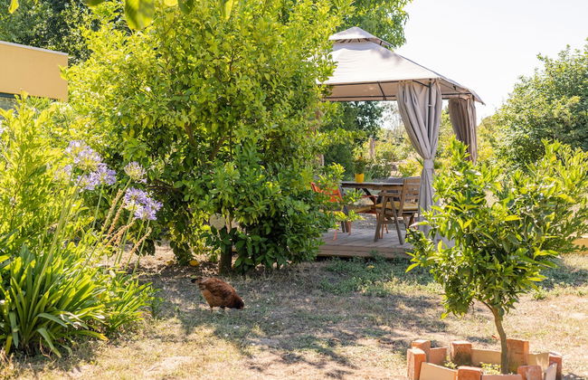 Casa das Palmeiras - Pedagogic Farm - Foto 49