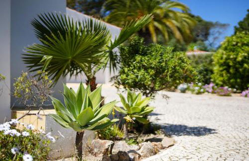 Casa Pitanga - Foto 59