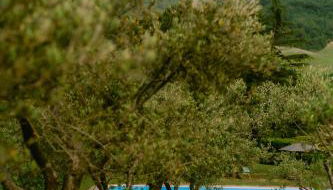 Tenuta delle Rose - Country House - Foto 5