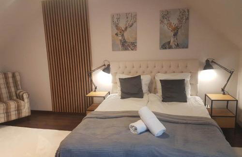 Apartamenty Pod Łysicą & SPA - przy stoku, basen, jacuzzi, sauna - Foto 39