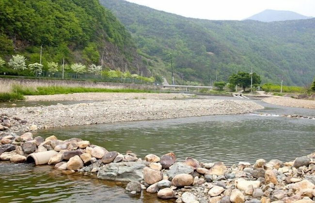 Bandi Hwangto Pension - Foto 66