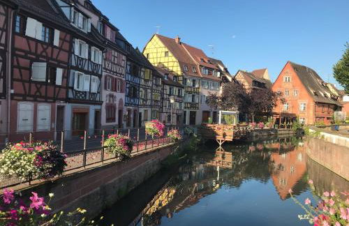 Le coin de Fréderic - Foto 22