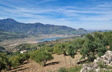 El Pitijopo - Foto 36