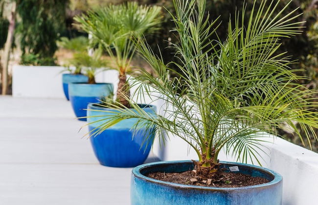 Casa da Alegria in Vale do Lobo - Foto 41