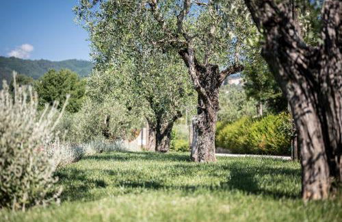 Terre di Cocomo - Foto 35