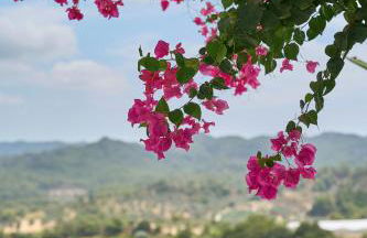 Valley View Studio Apartment Salakos - Foto 43