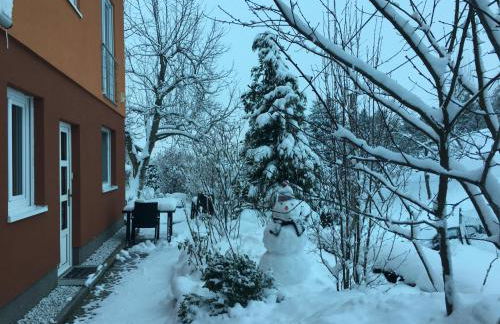 Weinrebe Oberhermsdorf nahe Dresden - Foto 13