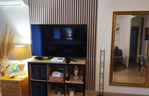 Le balcon de la basse centre ville de Perpignan - Foto 5