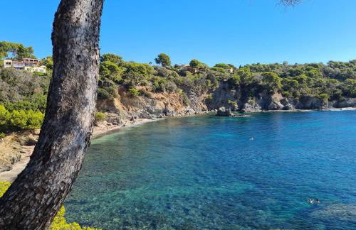 GIEDES Appartement pour 4 personnes avec vue mer face à Porquerolles et piscine situé à Giens - Foto 11