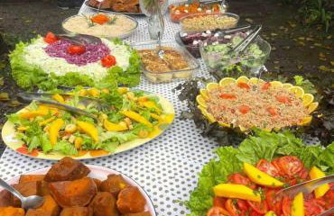 Fazenda Lua Cheia - Coxilha Rica - Foto 5