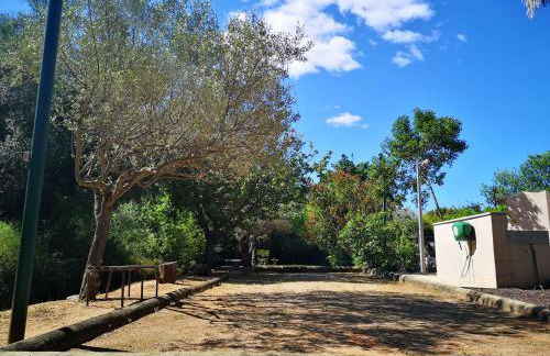 Les 2 roses De Verdillon - Foto 20