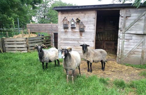 Ferienhaus Namatiri - Foto 22