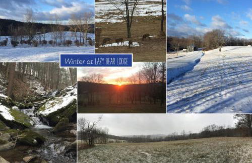 Private Dog-Friendly Home 3 Mi to Elk Mountain - Foto 44