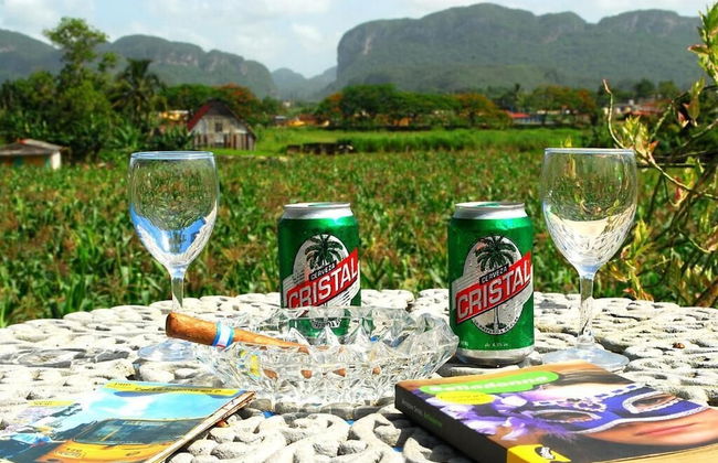 Holiday rental in Viñales with garden and terrace - Photo 22