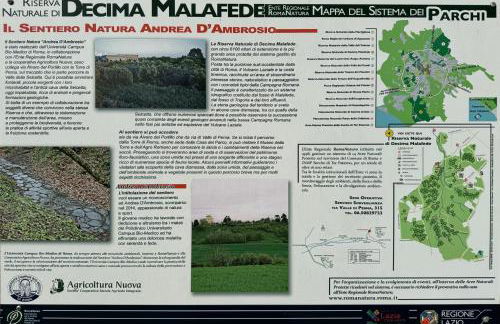 Villa Patrizia - Foto 7