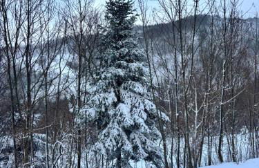 Cozy Mountain Apartment with Cimone view - Photo 13