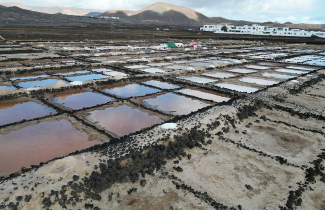 Bayside Kalendra Jable Find Peace in Wild Nature - Foto 30