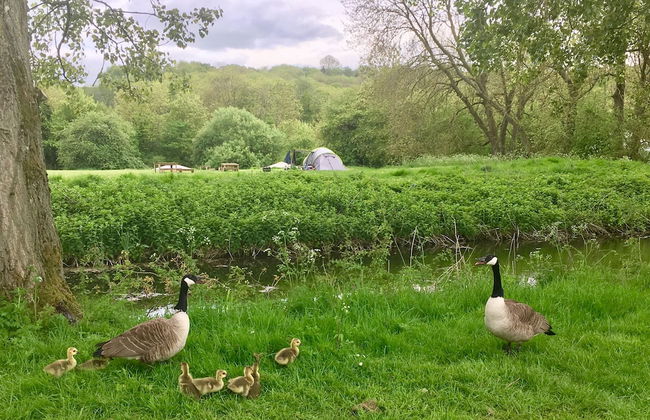 Cotswolds Camping at Holycombe - Foto 48