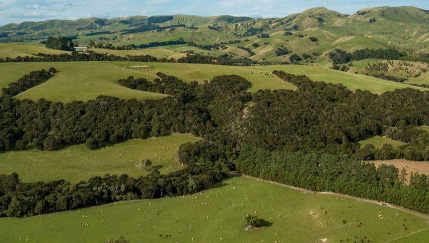 Tour del vino por Martinborough