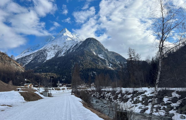 Chalet les Rocailles - Photo 11