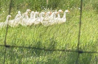 Apartamenty nad morzem Przy Klifie 2 Dębina - Foto 76