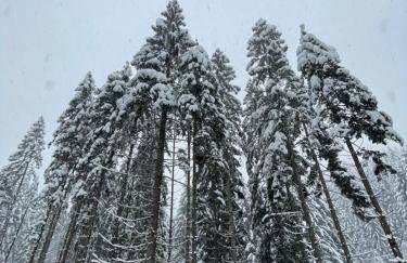 Ellen-Lara - Foto 41