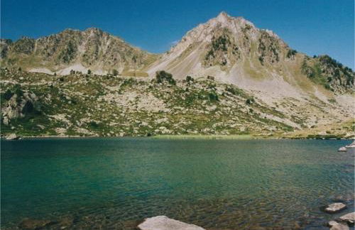 Le Perce Neige - Foto 33