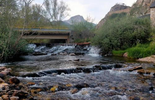 Bajo los nidos 2 - Foto 25