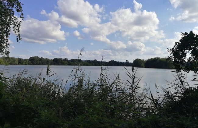 Apartment With Sauna and Fireplace in Bautzen - Foto 24