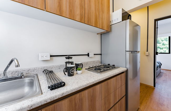 Mariano Escobedo Apartments by VH - Foto 58