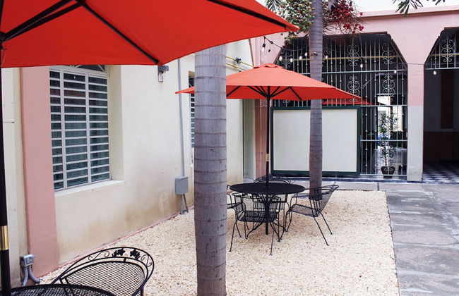 Gladiolas 1104 - Foto 12