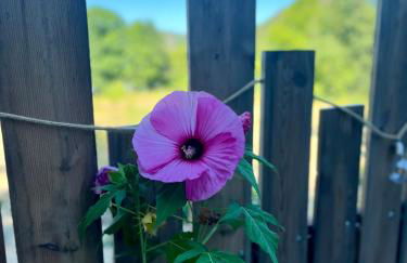 Maison d'hôtes avec piscine à Saint Jean du Gard, Les Ecuries de la Magdelaine - Foto 24