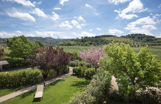 Il Cru di Vignanova - Photo 47