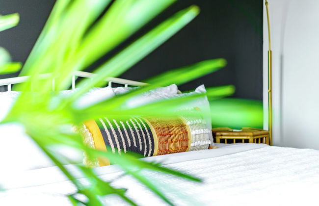 The Urbn Jungle - Foto 5