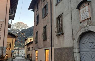 GREEN DOLOMYTE Apartment - Foto 20