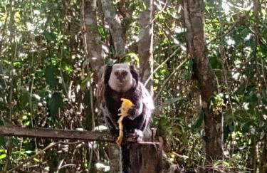 Excelente Casa na Lagoa Guanandy mais acesso a Lagoa Particular - Photo 8