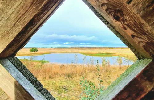 Seeliebe, 300 Meter zum Wasser, mit Terrasse und Garten - Foto 54