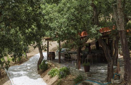 Feel Discovery Alvim's Douro - Foto 47