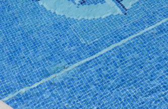 Silver Globe - Foto 33