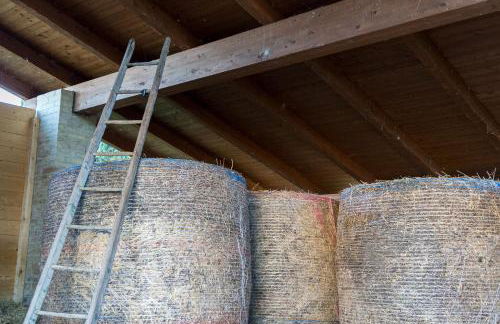 Agriturismo - La Campagna di San Francesco - Foto 42