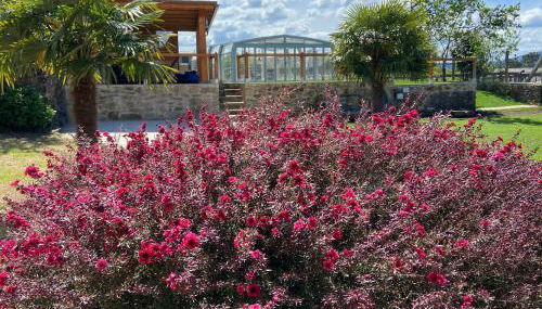 Casa de Fares - Foto 5