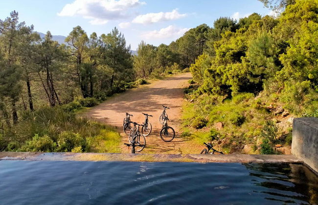 Tour en bicicleta eléctrica por la Sierra de las Nieves - Foto 3
