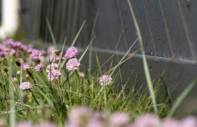 "Ralf" - 300m from the sea - Foto 9