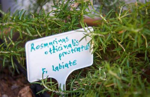 Agrilos Sea View House - Foto 36