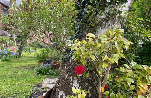 Ferienwohnung Ostegarten - Foto 19