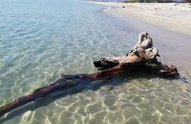 Charmant bonheur en bord de mer - Foto 27