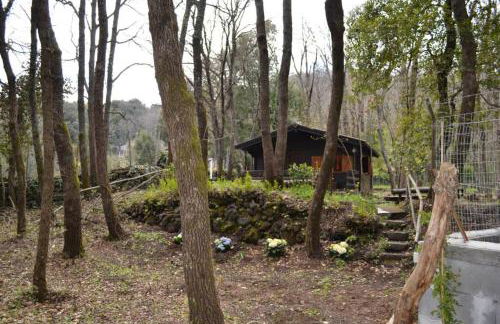 Intry Etna Chalet - Foto 31