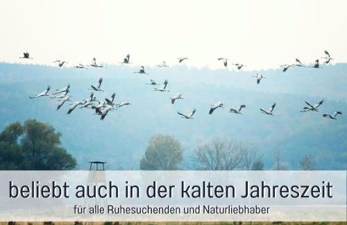 Ferienhaus Lebuser Land für bis zu 4 Personen mit 1300 qm Garten und Privatsauna, grandiosen Blick über die Oder, sonntags late check out bis 18 Uhr inklusive - Photo 68